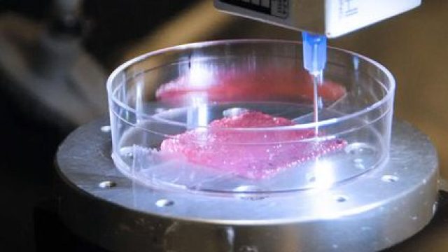 Innovative Skin Printing Technology: A Game Changer for Burn Recovery | istana777 gacor, rtp tata4d,