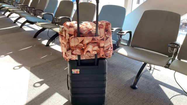 Discover the Ultimate Carry-On