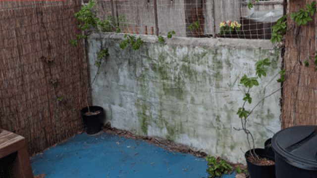 Transforming Outdoor Spaces: How Simple Upgrades Can Revitalize Patios