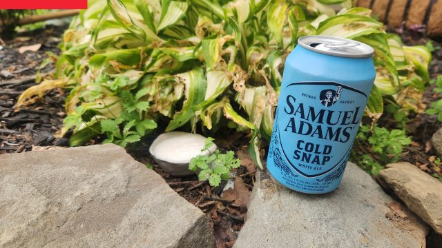 Transform Your Garden: How Beer Can Help Manage Slug Problems