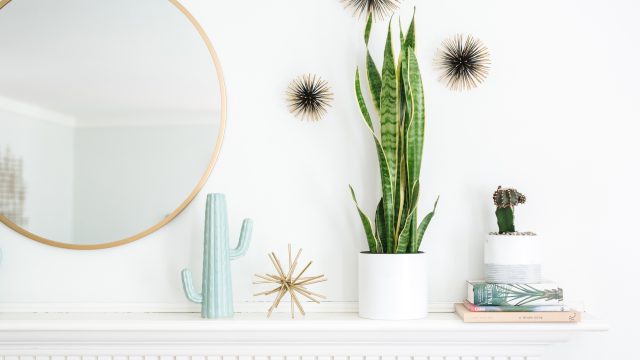 Unlocking the Hidden Value of IKEA's Plant Offerings