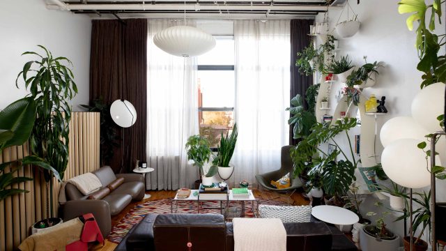 Transform Your Space Instantly: The Allure of Quick DIY Projects | ibc judi slot online, murah4d log
