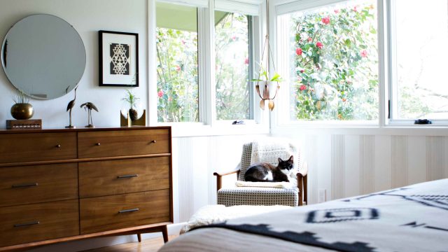 Transforming Pet Care: The Rise of Automatic Litter Boxes | slot gajah, senang4d info, lucky 777 slo