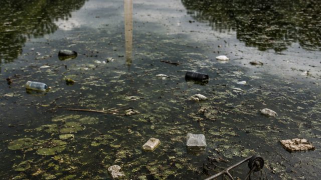 Troubling Developments at Trump’s Reflecting Pool Amid Controversy | toke4d link alternatif, slot95 